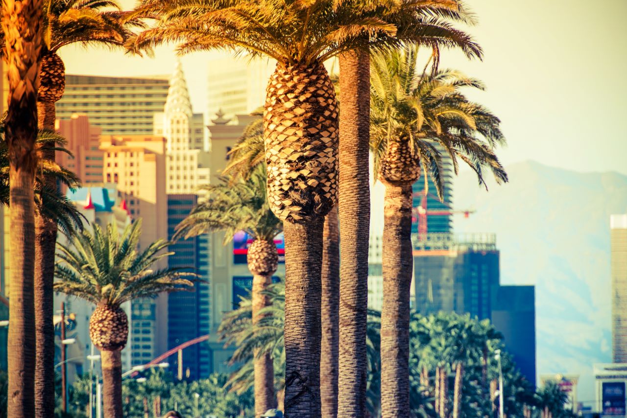 Las Vegas Weather Sunny And Hot Z Dimensions las-vegas-weather-sunny-and-hot-z-dimensions